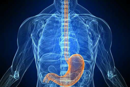 O Omeprazol e o Câncer Gástrico