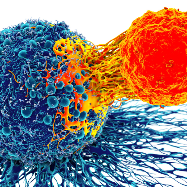 A Importância da Imunidade no Combate ao Câncer e o Papel do Estilo de Vida Saudável