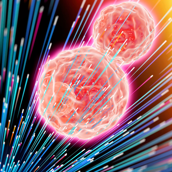 Compreendendo a Terapia com CAR T-Cell: Um Novo Método de Tratamento Oncológico