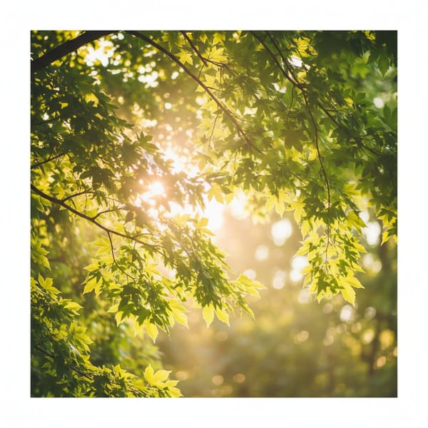 Vitamina D: A Surpreendente Aliada na Prevenção e Combate ao Câncer